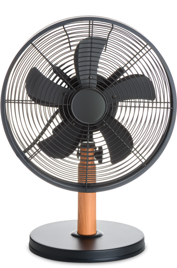 Electric fan